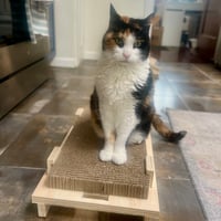 Image 10 of Heavy Duty Cardboard Scratcher — Flat