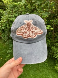 Image 3 of Patchy Caps