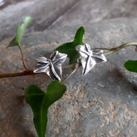 Image 5 of Woodland Ivy Studs