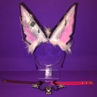 Petplay Fox Set ❤️🦊