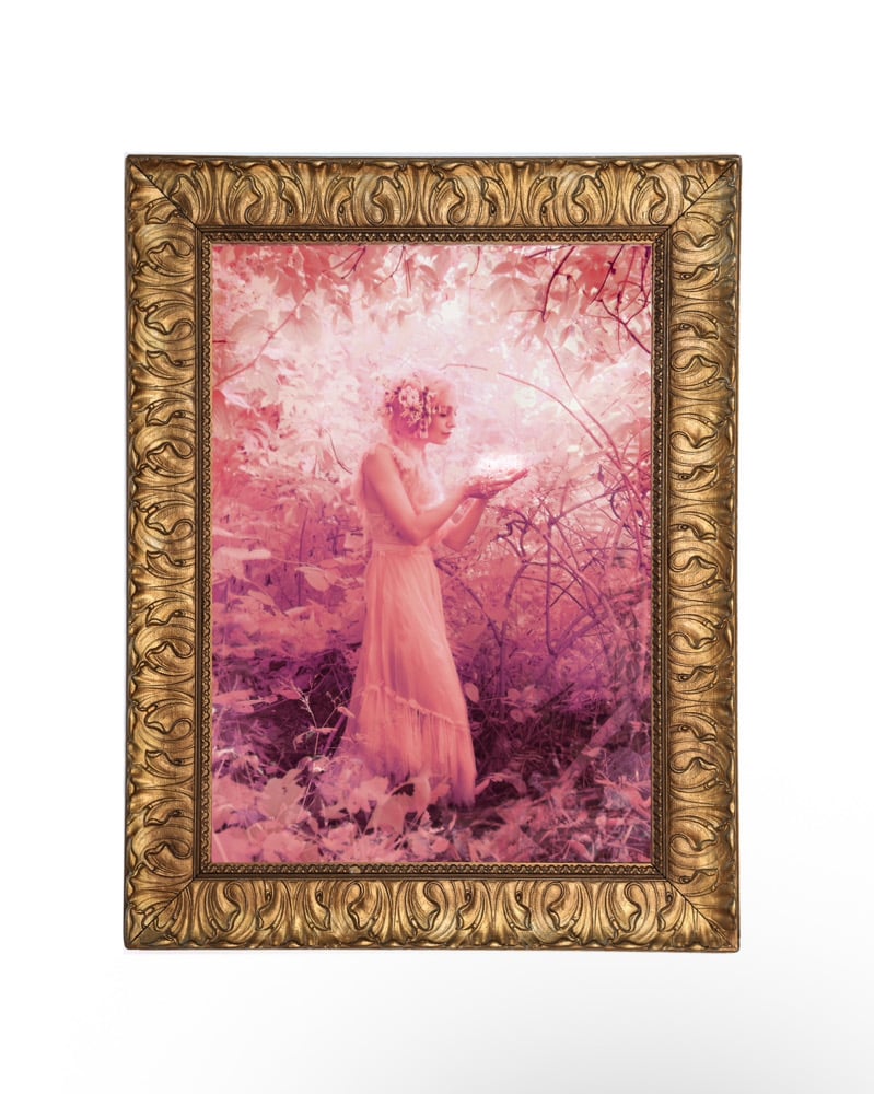 Image of Magic in All Creatures- by Larry Endicott