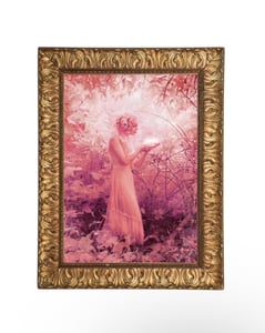 Image of Magic in All Creatures- by Larry Endicott