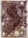 Image of Year of the Dragon - Art Print 