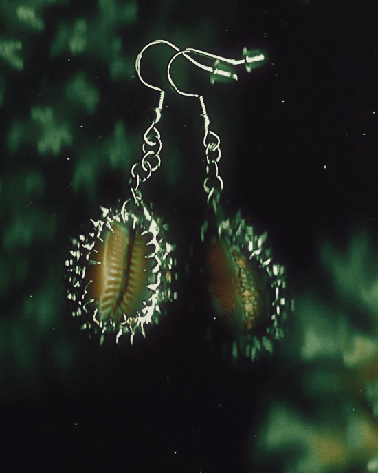 Snakehead Cowrie Earrings 