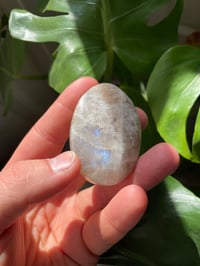 Image 2 of Moonstone Palm Crystal (9)
