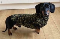 Image 1 of Commando Snazz
