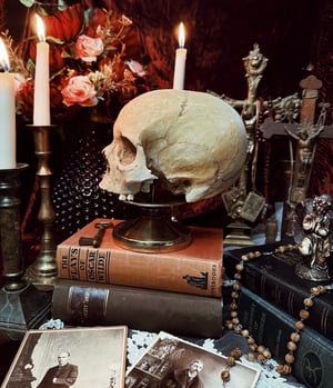 Image of Female Human Skull