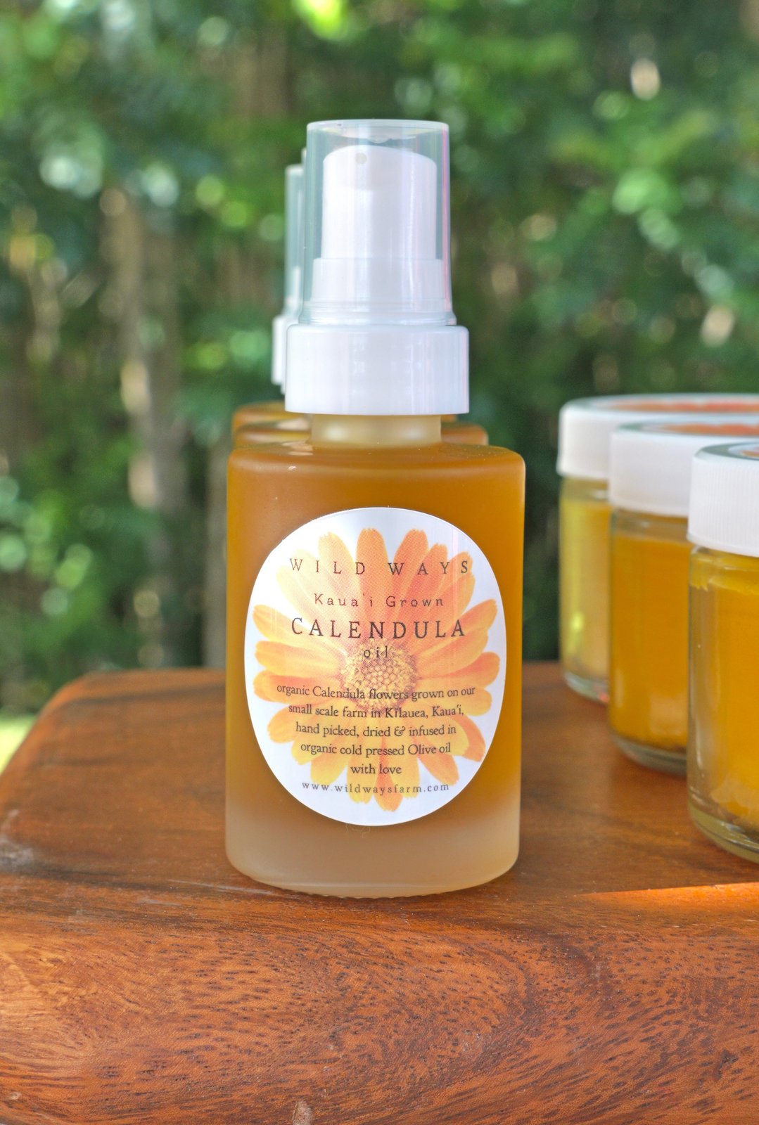Calendula Oil | Wild Ways Farm
