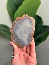 MOROCCAN AGATE A