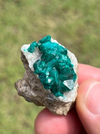 Image 15 of Dioptase Specimen | Congo #3011