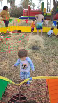 Image 3 of Petting Zoo & Pony Rides