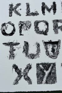 Image 5 of Wildlings - Deckle Edge Print*