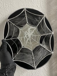 Image 2 of Spider Web