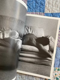 Image 10 of The Male Nude: Visions of 60 Sensual Photographs, 1991.