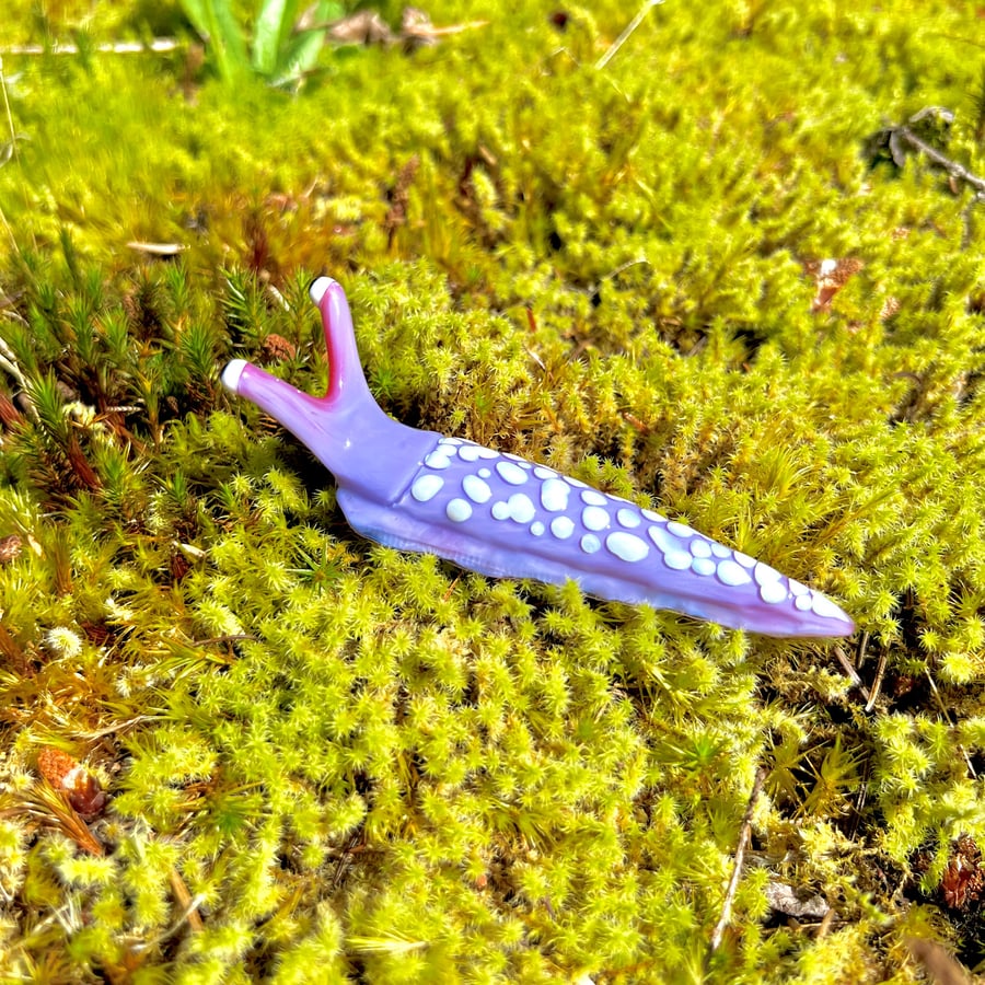 Image of Purple Boro Slug