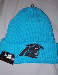Carolina Panther NFL Hat