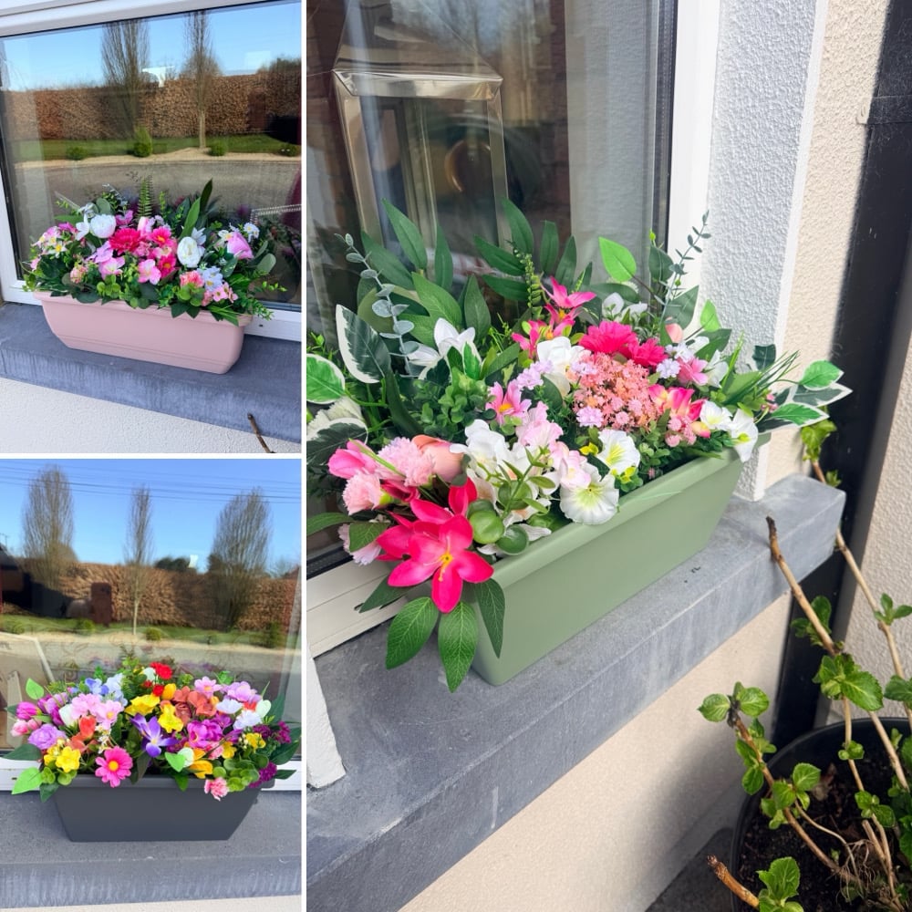 Image of Window Boxes 