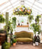 Image of Valarie Marie green house Christmas Minis