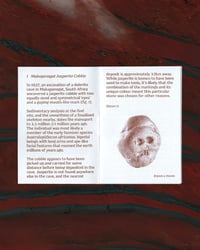 Image 3 of Manuports