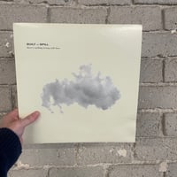 Built To Spill – There's Nothing Wrong With Love - US FIRST PRESS LP (NO BARCODE)