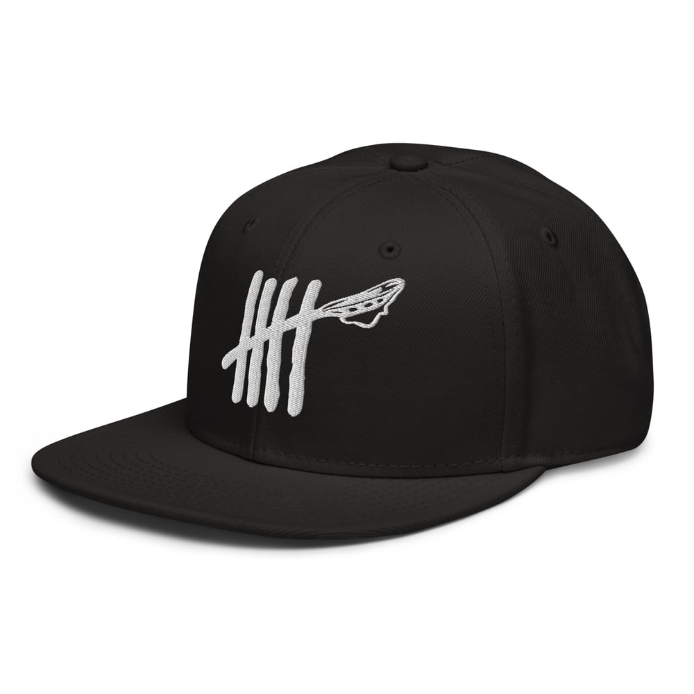 The Tally Snapback Hat