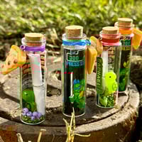 Image 1 of Turtles - Message in a Bottle