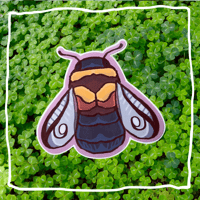 Image 4 of Kestrel’s Summer 2025 Biodiversity Stickers