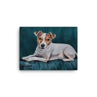 Image 4 of Couch Guarding Jack Russell