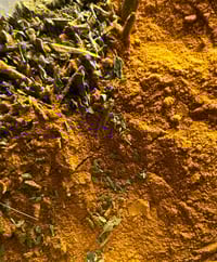 Image 1 of GARDEN OF WASILAAH | Anti-Inflammatory Clarifying Concentrate
