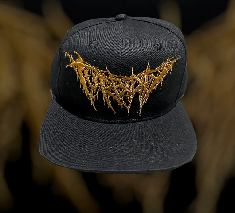 Turbidity - Snapback