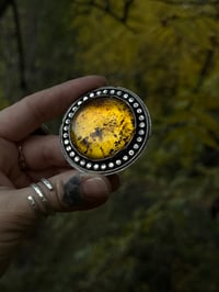 Image 2 of Large Amber Statement Piece~Choose Your Own Adventure