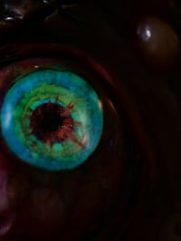 Image 6 of Custom phone cover for Samsung S25 Ultra