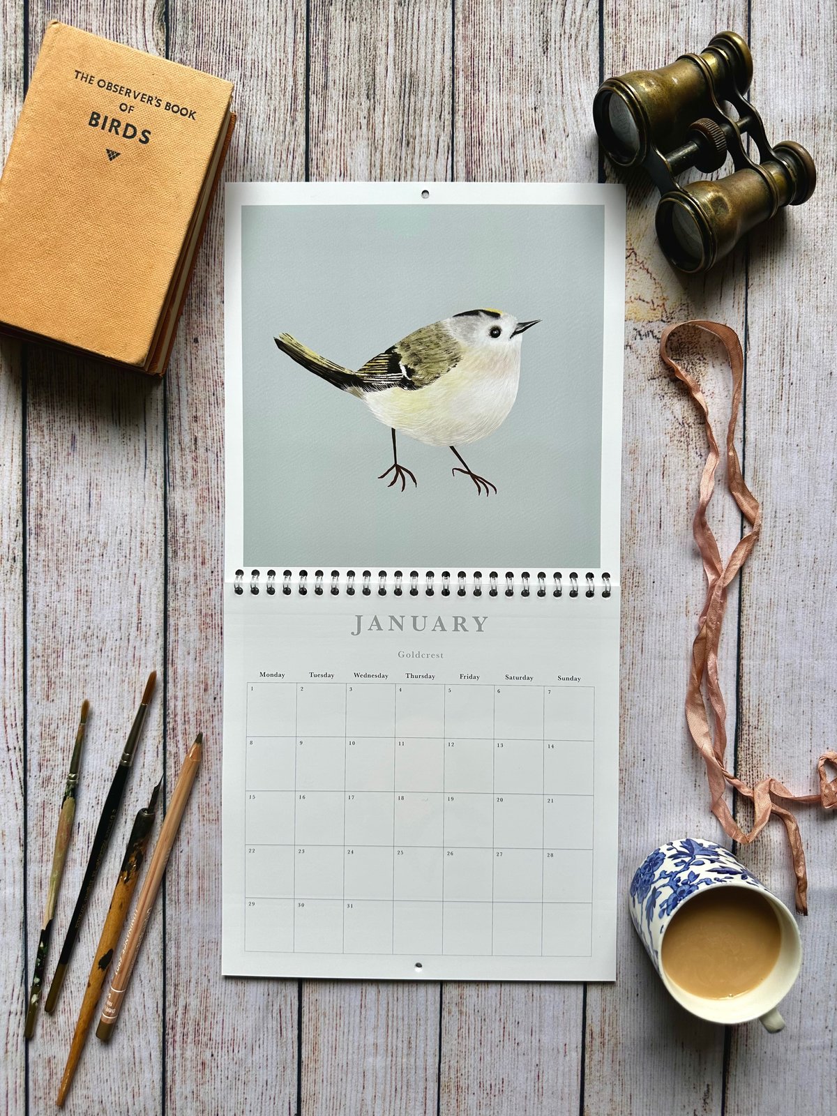 Feathered Friends 2024 Wall Calendar: Watercolor Bird