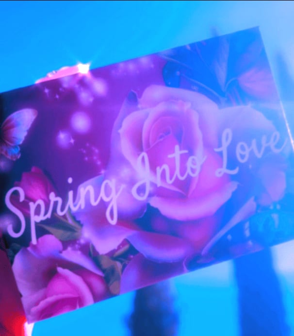 Image of Spring Into Love Palette ✨🌸🌷🫶🦋