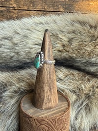 Image 2 of The River Falls 