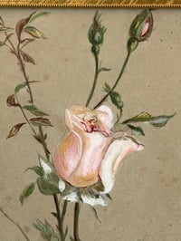 Image 4 of Ancienne gouache aux roses, cadre doré