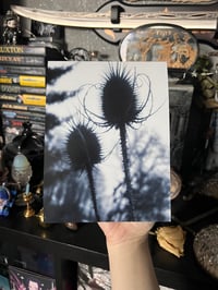 Image 2 of Spiked Heart