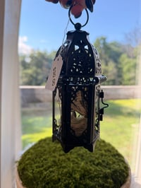 Image 3 of Swallowtail Lantern 