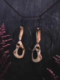 Image 3 of pelvic hoops (can be earrings for non-sensitive ears)