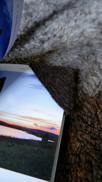 Image 4 of Harting Black Felt Bookmark