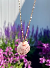 Image 2 of Scallop Shell Necklace N179