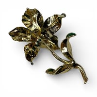 Image 2 of Pistil Ivy