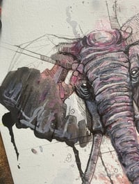 Image 3 of Éléphant Rose 