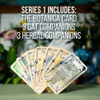 Image 4 of Catsby Cartel Companion Cards