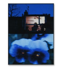 Image 4 of PANSY, BLUE NIGHT II