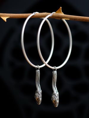 Image of SERPENT HOOPS