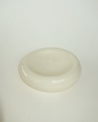 Image 3 of Bubble Dish Version 2