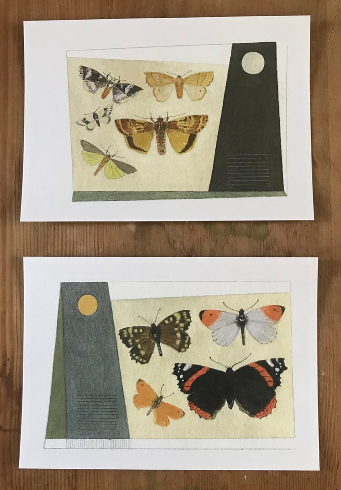 Image of Pair of giclee prints, garden butterflies and moon moths. 