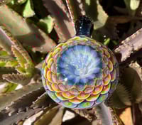 Image 3 of rainforest rainbow 