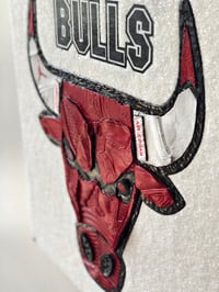 Image 3 of Chicago Bulls “Like Mike”